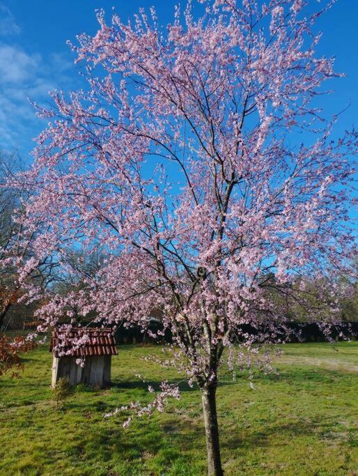 브로카스 Ancienne Grange Landaise 빌라 외부 사진